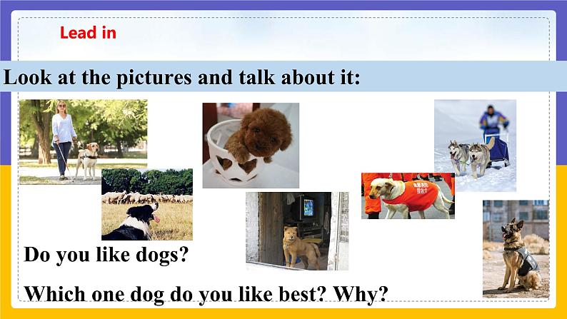 Unit 3 Our animal friends Period 1 ReadingⅠ课件第3页