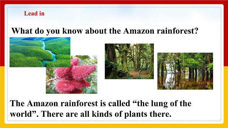 Unit 4 Save the trees Period 5 more practice & culture corner（课件+教案+学案+练习）03