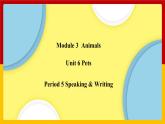 Unit 6 Period 5 Speaking & Writing（课件+教案+学案+练习）