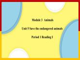 Unit 5 Period 1 Reading I（课件+教案+学案+练习）