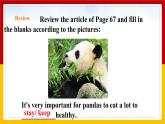 Unit 5 Period 3 Grammar（课件+教案+学案+练习）