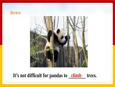 Unit 5 Period 3 Grammar（课件+教案+学案+练习）