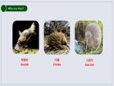 牛津深圳版英语八年级下册unit 05 Save the endangered animals课件