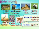 人教新目标七年级英语下册----Unit 5 Why do you like pandas_ Section A 1a-2d 课件+ 音频