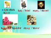 人教新目标七年级英语下册----Unit 5 Why do you like pandas_ Section A 1a-2d 课件+ 音频