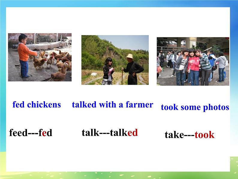 七年级下册Unit 11 How was your school trip Section B (1a-2c)课件第3页