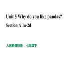 人教新目标七年级英语下册----Unit 5 Why do you like pandas Section A 1a-2d 优质课件+音视频