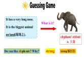 人教新目标七年级英语下册----Unit 5 Why do you like pandas Section A 1a-2d 优质课件+音视频