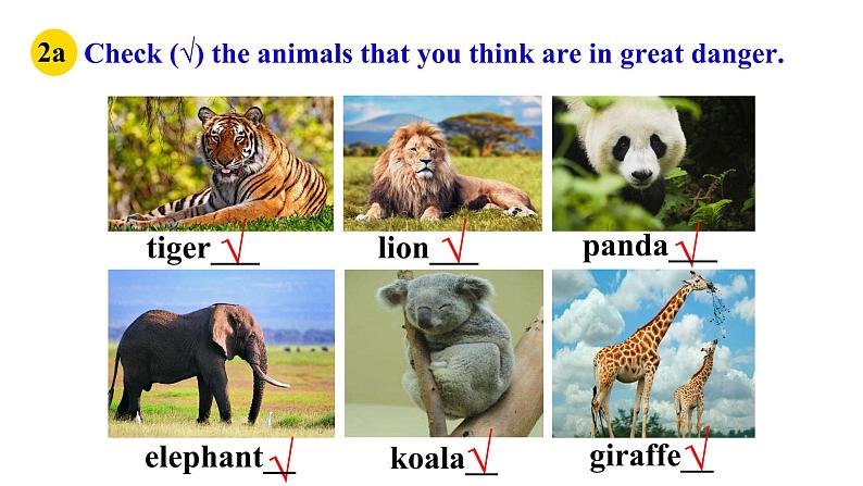 【公开课】Unit5 Why do you like pandas？  SectionB(2a-2c)阅读第3页