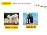 人教新目标七年级英语下册----Unit5 Why do you like pandas ？SectionB(1a-1d) 课件+音视频