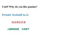 初中人教新目标 (Go for it) 版Section B教学ppt课件