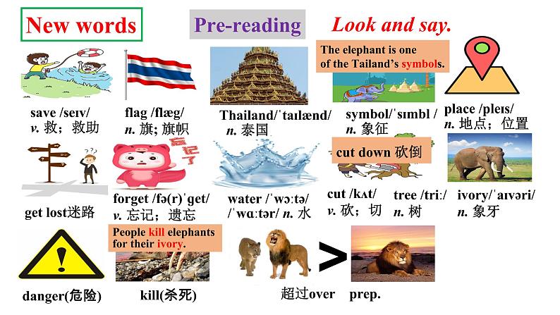 人教新目标七年级英语下册----Unit5 Why do you like pandas_ Section B2a-2c阅读课优质课课件+ 音频04