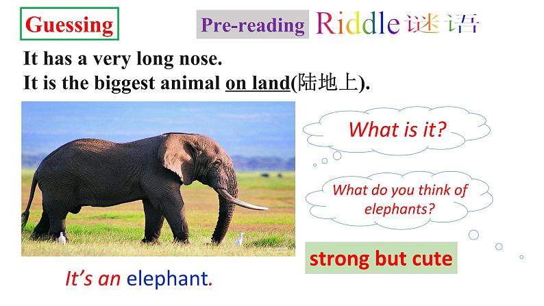 人教新目标七年级英语下册----Unit5 Why do you like pandas_ Section B2a-2c阅读课优质课课件+ 音频06