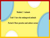 Unit 5 Period 4 More practice and culture corner（课件+教案+学案+练习）