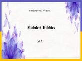 Module 6  Hobbies Unit 2（课件+教案+练习+学案）
