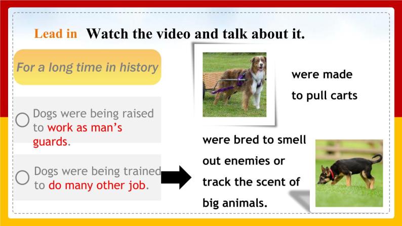 Unit 3 Our animal friends Period 1 Reading I课件PPT+教案+学案+练习04