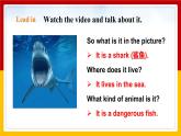 Unit 3 Our animal friends Period 5 More practice & culture corner课件PPT+教案+学案+练习