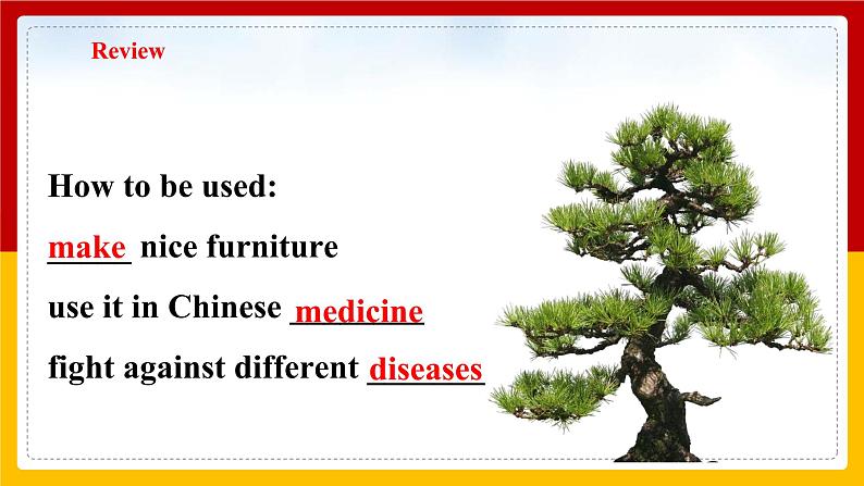 Unit 4 Save the trees Period 3 Grammar课件第3页