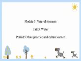 Unit 5 Water Period 5 More practice & culture corner课件PPT+教案+学案+练习
