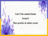 Unit 3 Our animal friends Period 5 more practice & culture corner课件+教案+学案+练习