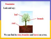 Unit 4 Save the trees Period 1 Reading I课件+教案+学案+练习