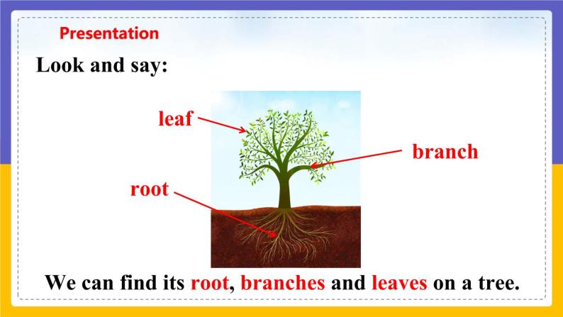 Unit 4 Save the trees Period 1 Reading I课件+教案+学案+练习05