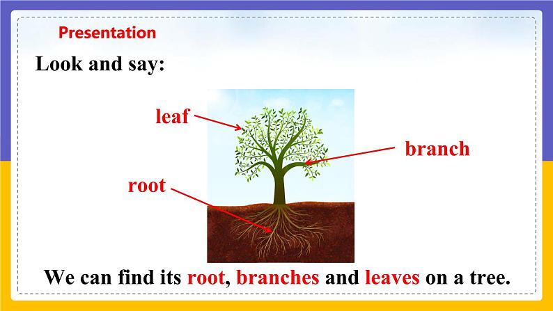 Unit 4 Save the trees Period 1 Reading I课件第5页