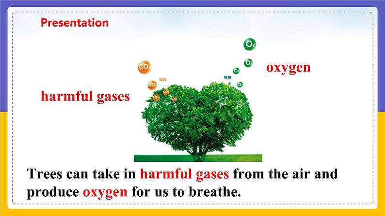 Unit 4 Save the trees Period 1 Reading I课件第6页