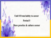 Unit 8 From hobby to career Period 5 More practice & culture corner课件+教案+学案+练习
