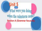 人教新目标八年级英语下册---Unit 5 What were you doing when the rainstorm came_ Section A (Grammar focus-4c)课件+视频