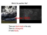 人教新目标八年级英语下册---Unit 5 What were you doing when the rainstorm came_ Section A Reading(3a-3c)课件+ 视频