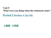 人教新目标八年级英语下册---Unit 5 What were you doing when the rainstorm came_Section A (2a-2b)课件+音频