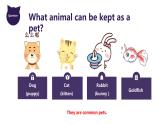 牛津深圳版英语八年级下册unit 6  pets课件