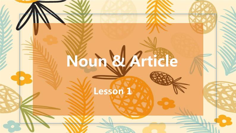中考英语一轮复习之语法复习Lesson 1 Noun& Article 名词&冠词课件PPT01