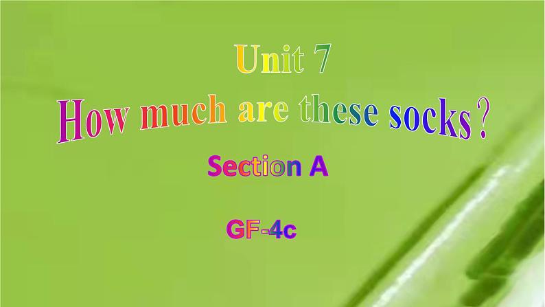 人教新目标版英语七年级上Unit 7 How much are these socks_Section A Grammar Focus-3c课件（24张PPT无素材）01