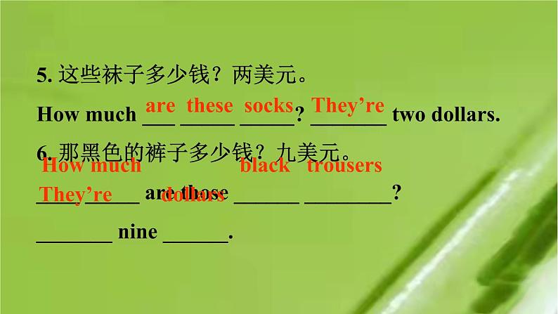 人教新目标版英语七年级上Unit 7 How much are these socks_Section A Grammar Focus-3c课件（24张PPT无素材）07