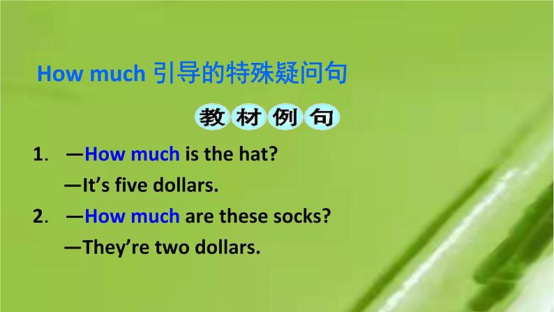 人教新目标版英语七年级上Unit 7 How much are these socks_Section A Grammar Focus-3c课件（24张PPT无素材）08