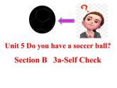 人教新目标(Go for it)版七年级英语上册Unit 5 Do you have a soccer ball_Section B 3a-Self Check课件 （共有PPT14张）