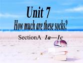 Unit 7 How much are these socks_ Section A 1a-1c 课件27张  音频