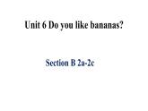 人教新目标版英语七年级上Unit 6 Do you like bananas_Section B 2a-2c课件（18张PPT无素材）
