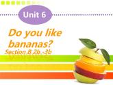 人教新目标(Go for it)版七年级上Unit 6 Do you like bananas_ Section B 2b-3b Readingandwriting课件（14张ppt）