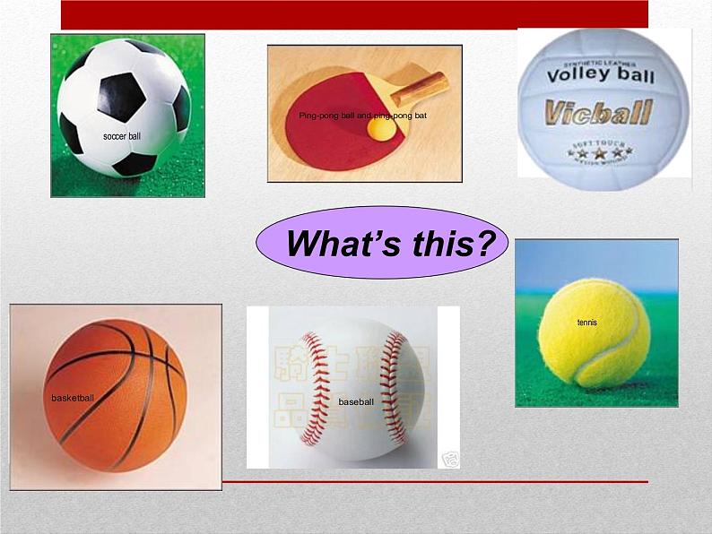 Unit5 Do you have a soccer ball period1-2021-2022学年 七年级英语上册 人教版 课件（共21张PPT）第8页