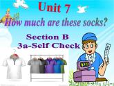 Unit 7 How much are these socks_ Section B 3a-Self Check课件27张