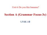 人教版七年级英语上册Unit 6 Do you like bananas_Section A Grammar Focus-3c课件（共有PPT32张）