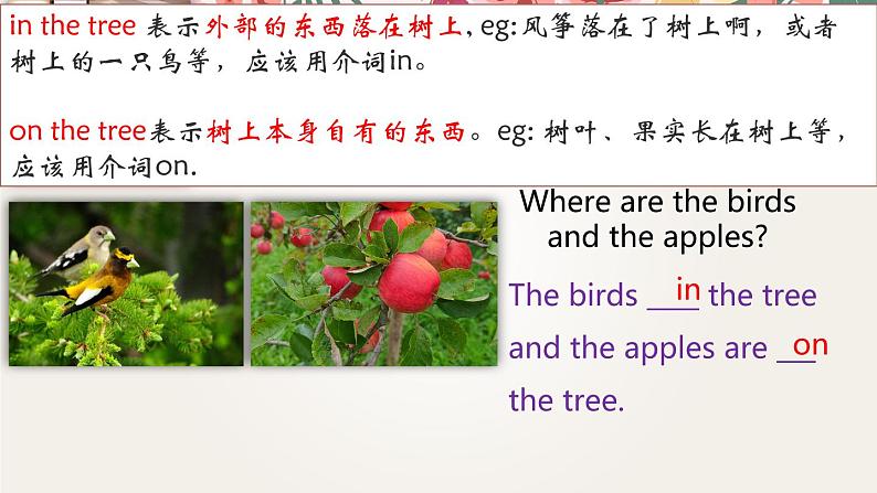 Unit 4 Where's my  schoolbag_ Section B 3a-self check课件17张.zip07