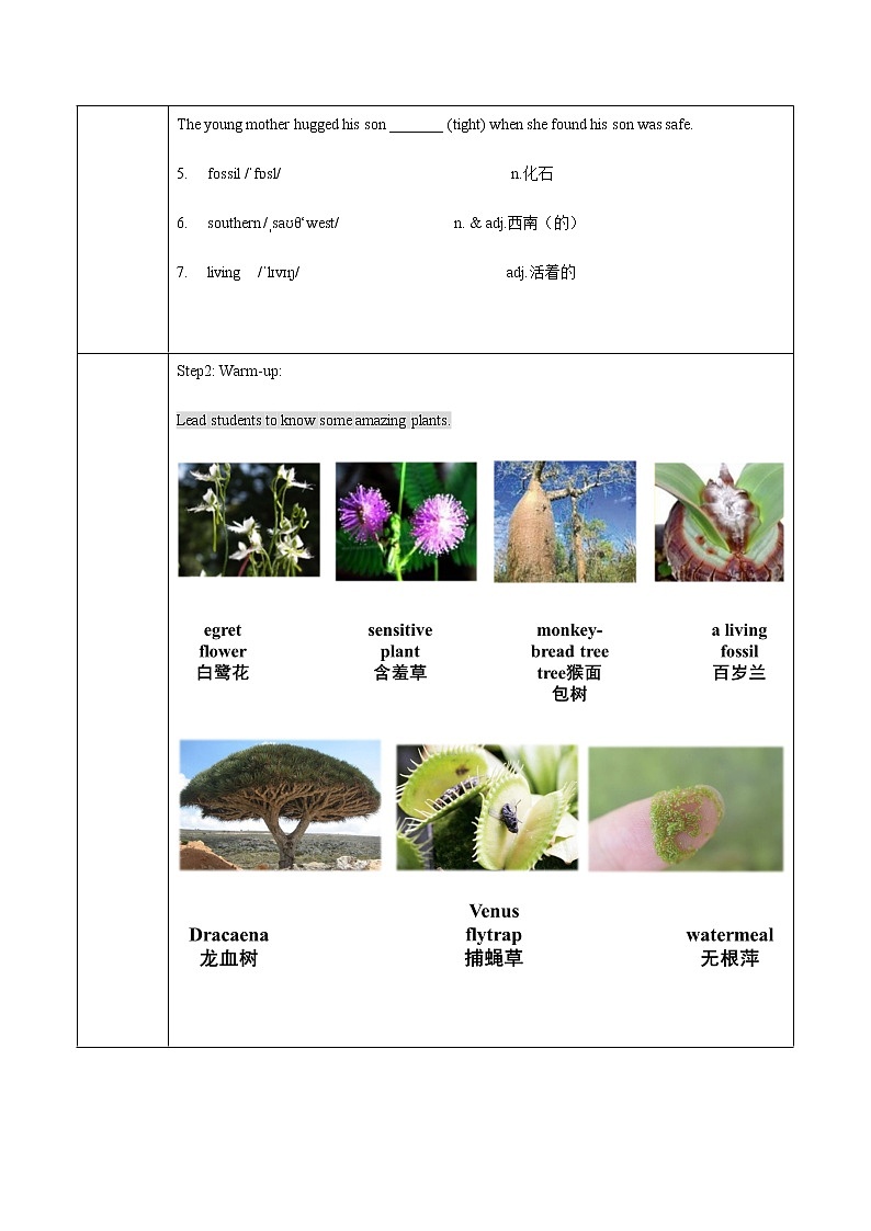 Unit2 Lesson 11 Amazing plants教案 初中英语冀教版八年级下册（2022年）02