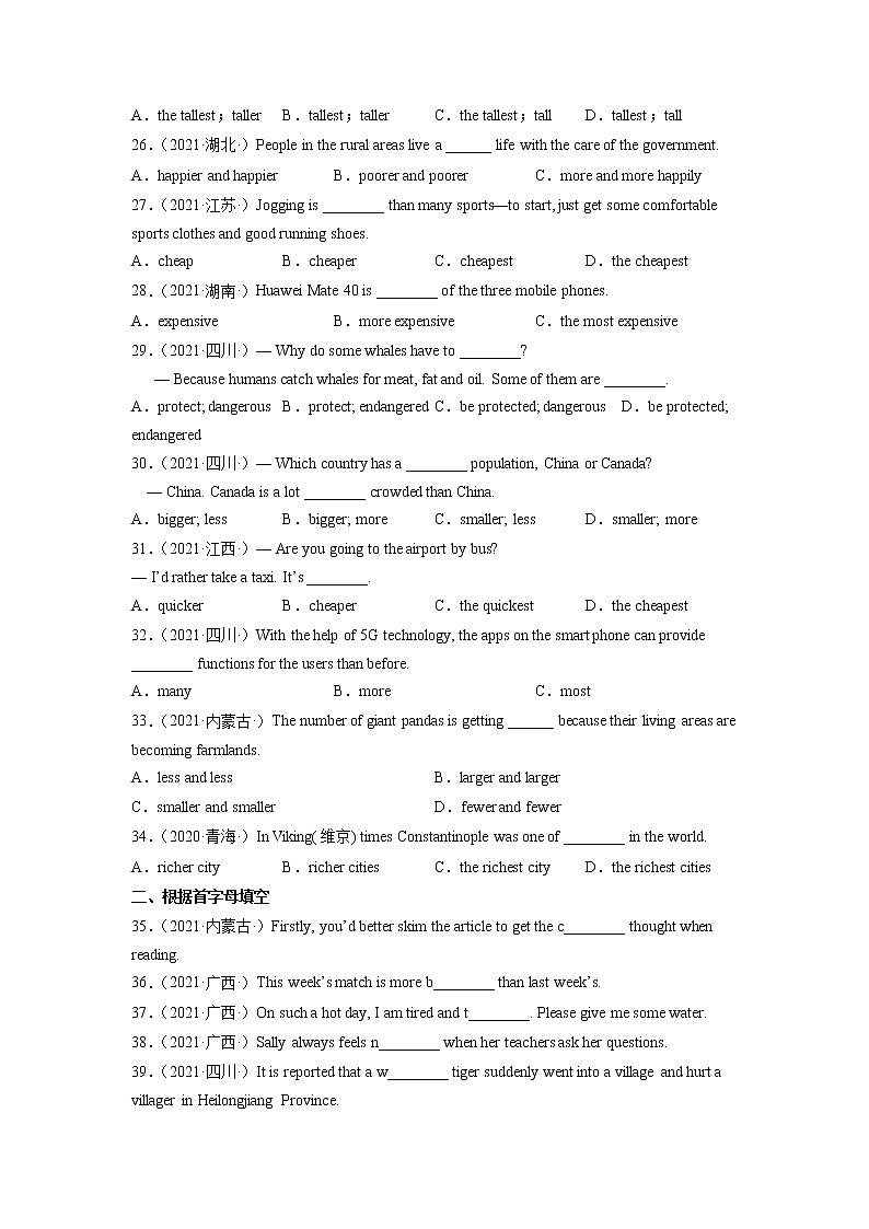 专题06 形容词真题精练第3页
