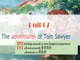 牛津深圳版英语九年级上unit 07 The adventure of Tom Sawyer PPT