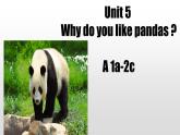 人教新目标七下英语---Unit 5 Why do you like pandas section A 1a-2c 课件
