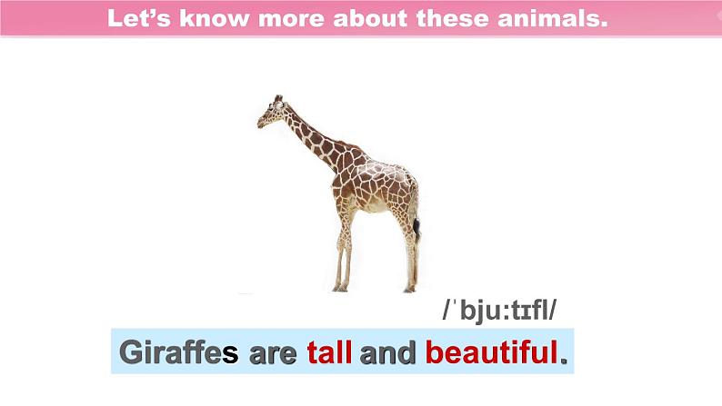 人教新目标七下英语---Unit 5 Why do you like pandas section A 1a-2c 课件08